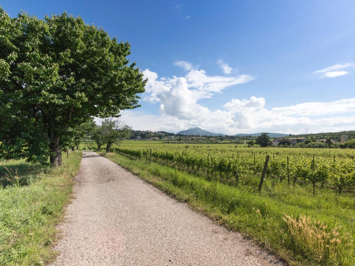 Wonderful Villa Botticelli Cavaion Veronese Exterior photo